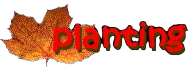 Planting