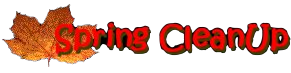 Spring Clean Up