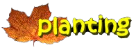 Planting