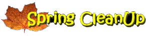 Spring Clean Up